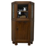 kątnik orzechowy rogówka witryna