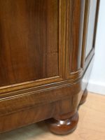 kątnik orzechowy rogówka witryna - obrazek 13