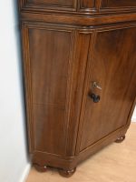 kątnik orzechowy rogówka witryna - obrazek 6