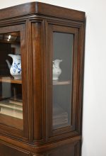 kątnik orzechowy rogówka witryna - obrazek 8