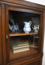 kątnik orzechowy rogówka witryna - obrazek 9