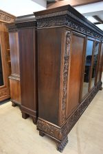 biblioteka 300cm na lwich łapach - obrazek 5