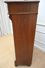 śliczna bieliźniarka eklektyczna - obrazek 9
